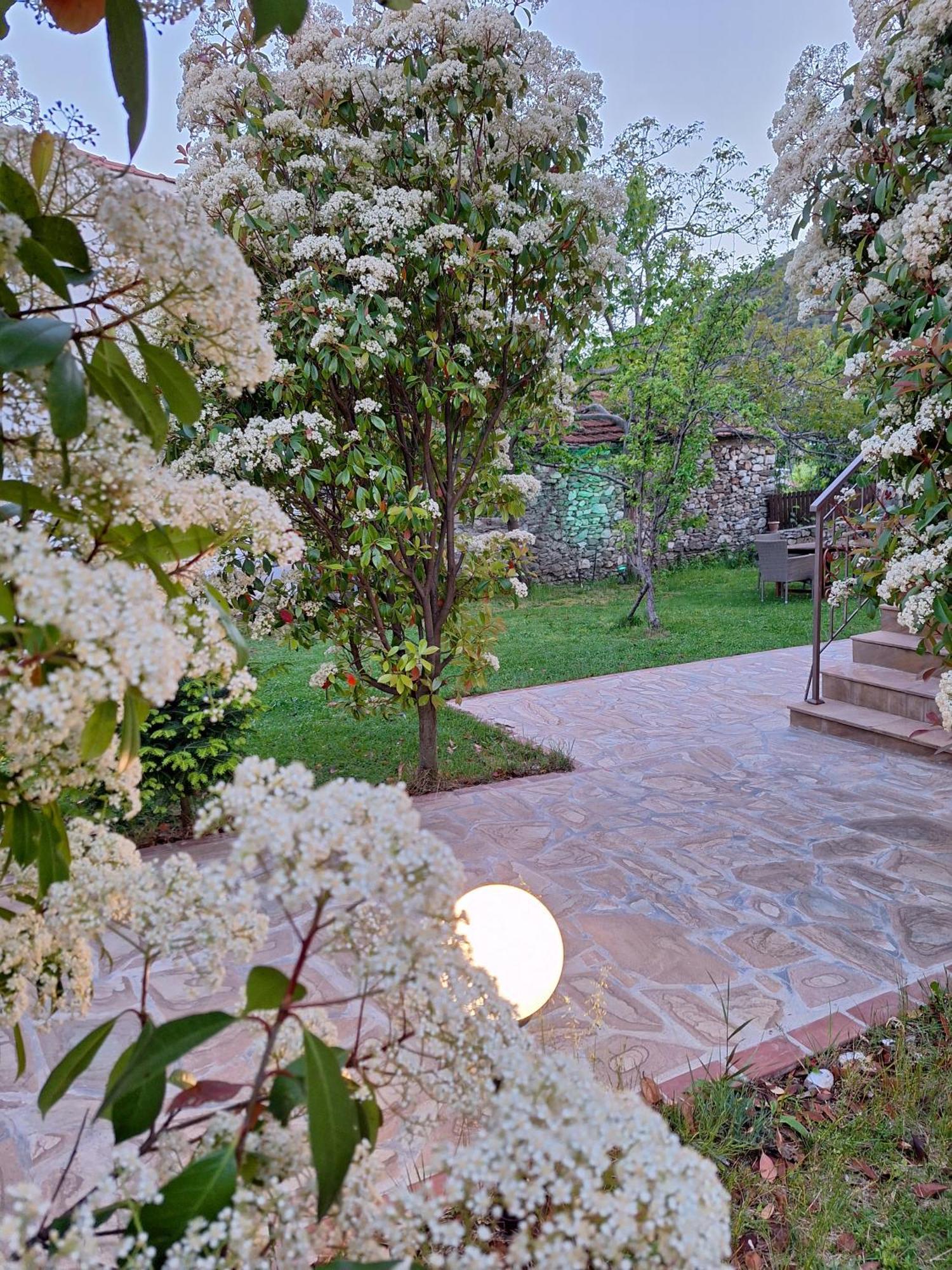 Country House On Mount Olympus Karia  Exterior foto